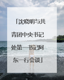 沈晓明与共青团中央书记处第一书记阿东一行会谈